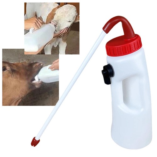 Calf feeder cow feeding tube - cow,