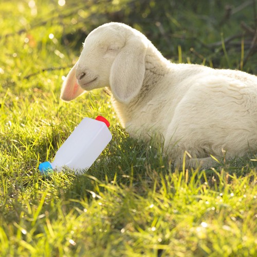 Abs reusable feeding - feeding, bottle