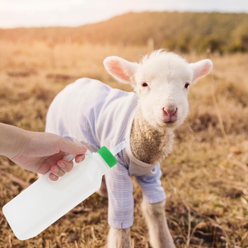 Strong reusable plastic lamb - strong,