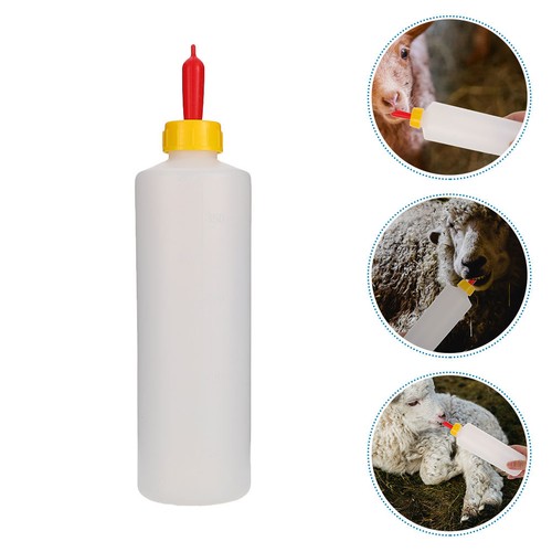 Goat nursing bottle calf - nursing,