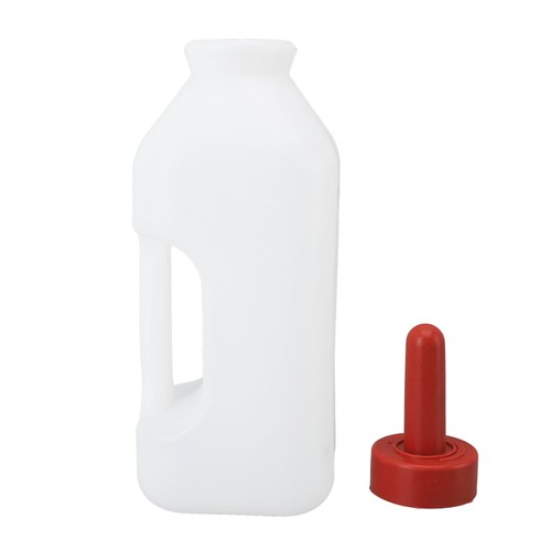 Calf - (horizontal, pot)