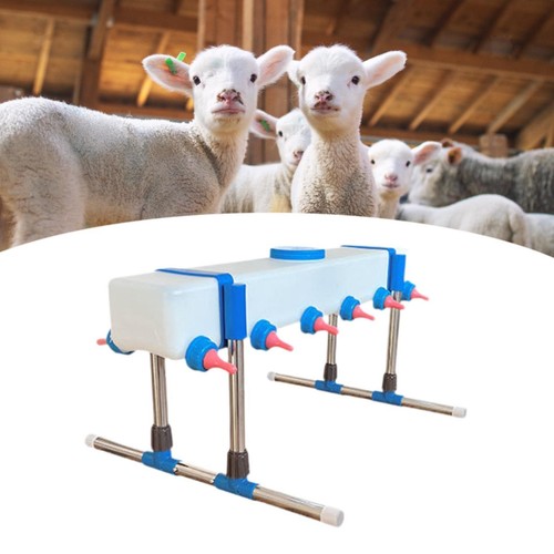 Vertical calf feeding bottle - calf,