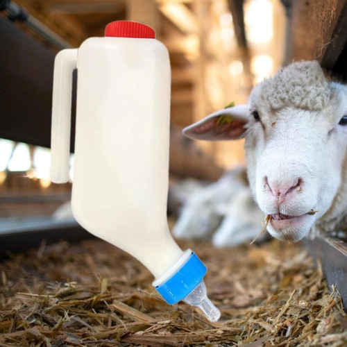 Livestock feeding bottle - feeding,