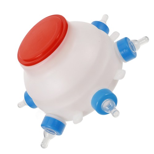 Calf feeding bottle nursing - calf,