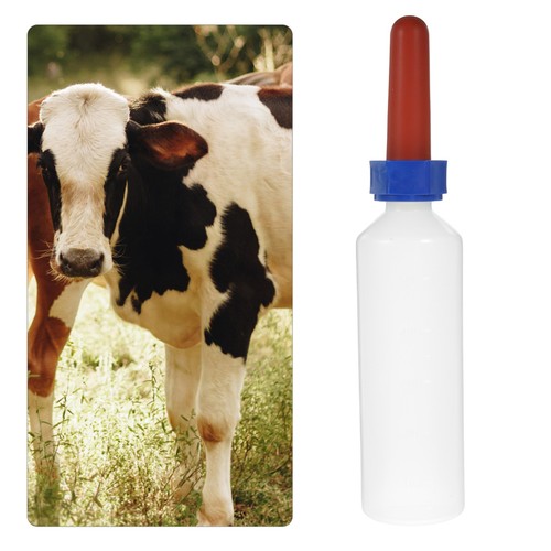 Calf bottle livestock feeding - bottle,