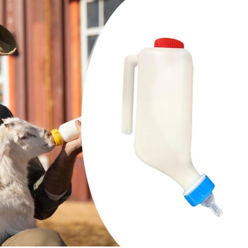 Livestock feeding bottle - feeding,