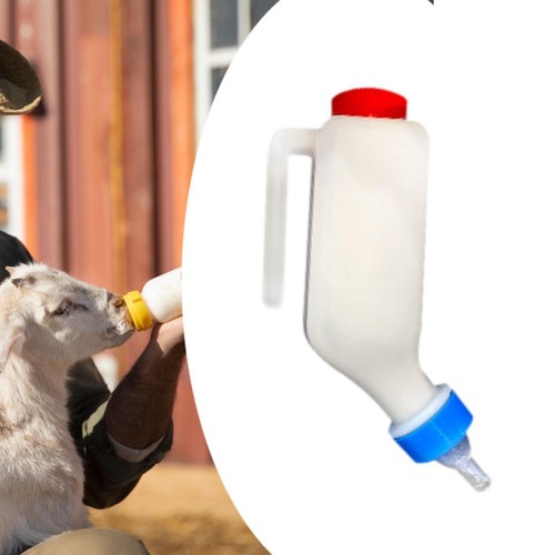 Sheep milk feeding silicone - milk,