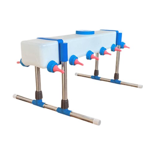 Lamb milk feeder calf - calf,