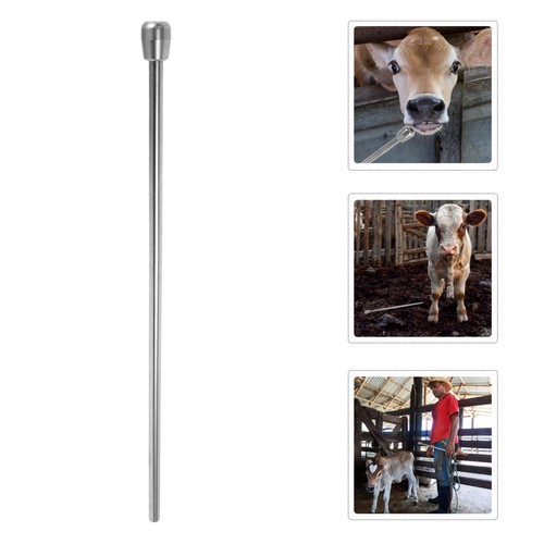 Tube for calf feeder cow - for,