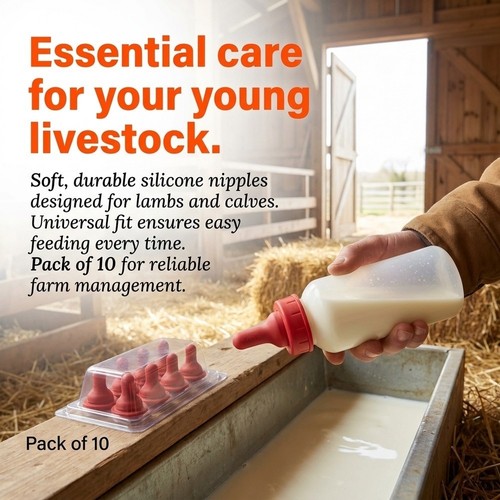 For lamb feeding calf - for,