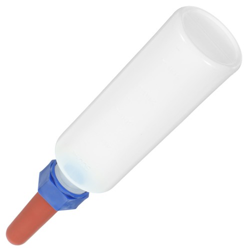 Calf feeding bottle nursing - calf,