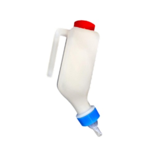 Sheep nursing bottle calf - nursing,