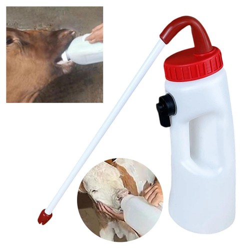Calf feeder - calf,
