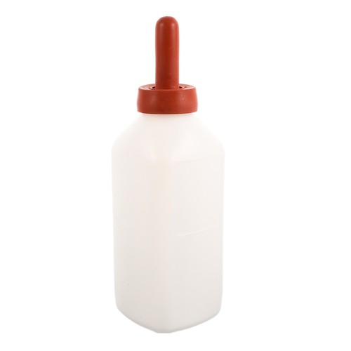 Calf feeding bottle lamb - feeding,